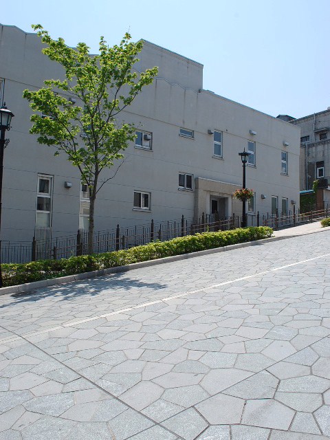 函館・百十三銀行本店(建築家・関根要太郎作品研究、その8)_f0142606_21551867.jpg