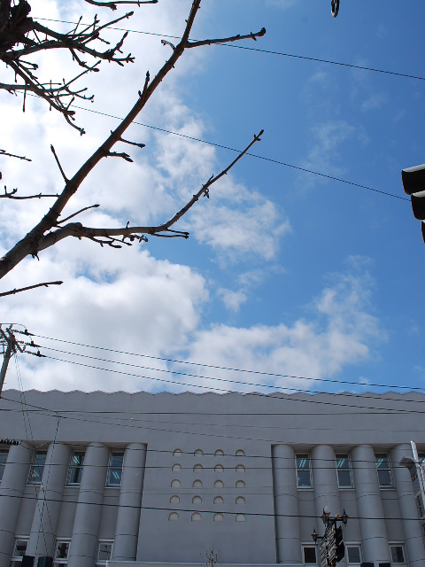 函館・百十三銀行本店(建築家・関根要太郎作品研究、その8)_f0142606_21595410.jpg