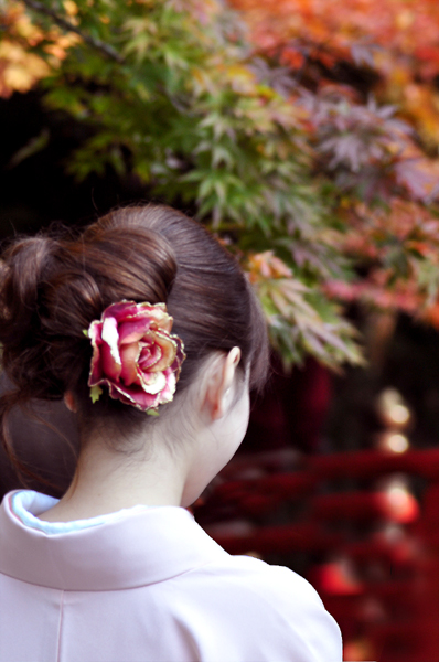 和服 後ろ姿物語