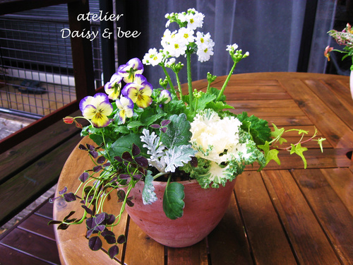 セダムのリース♪12/4 : daisy＆bee の多肉でガーデニング