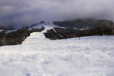 f0128410_1543815.jpg
