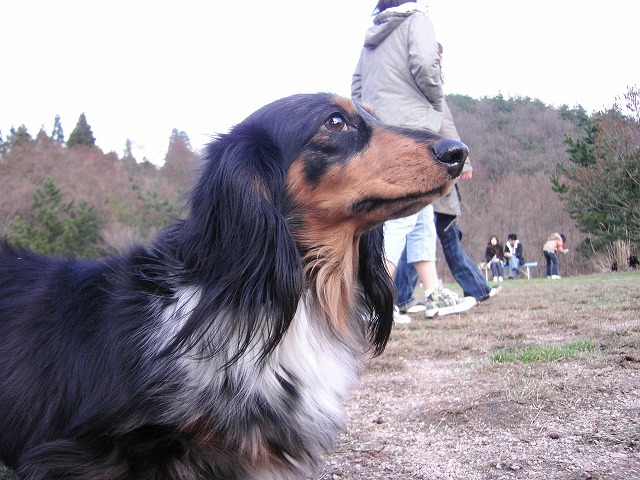 a0098513_225076.jpg
