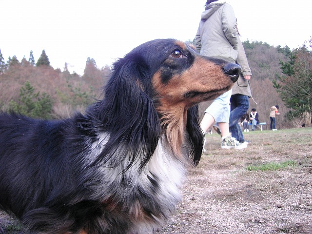 a0098513_2251382.jpg