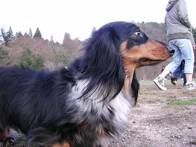 a0098513_225388.jpg