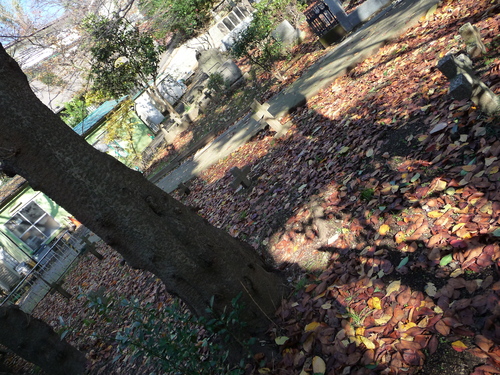 b0087914_14105155.jpg