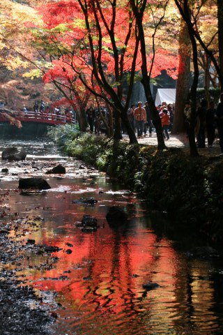 小国神社１_a0020615_16475098.jpg