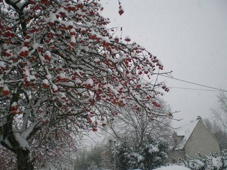 c0124619_011215.jpg