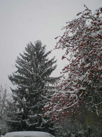 c0124619_0113764.jpg