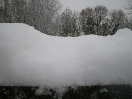 c0124619_0135479.jpg