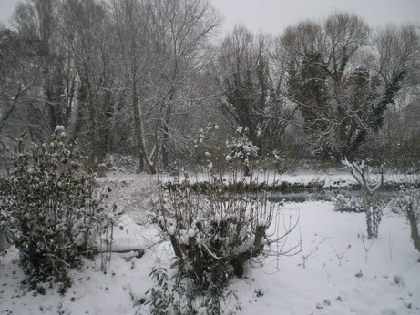 c0124619_01423100.jpg