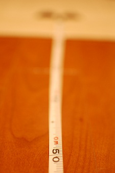 f0085219_157588.jpg