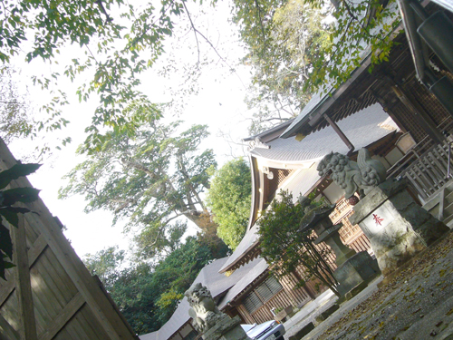 e0163721_100116.jpg