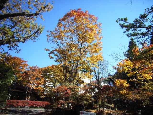 e0177824_21145862.jpg