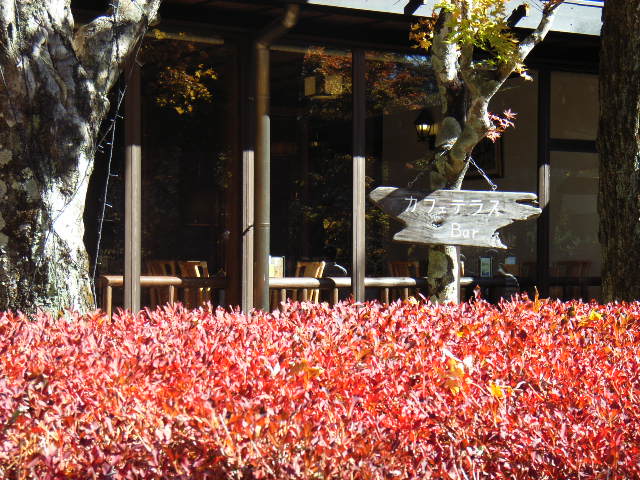 e0177824_21181164.jpg