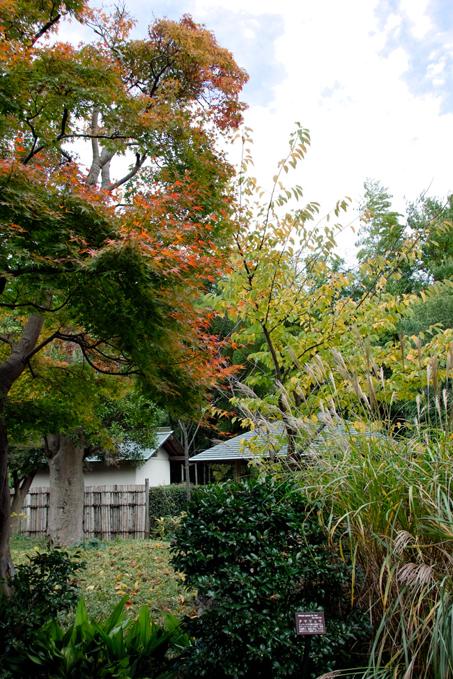 戸定邸①（千葉県松戸市）～水戸徳川家別邸～_c0223825_23464360.jpg