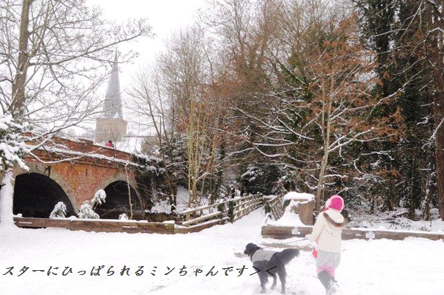 タラのソテー☆ガーリックレモンソース_d0104926_2165733.jpg