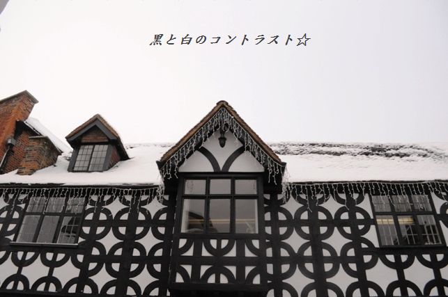 タラのソテー☆ガーリックレモンソース_d0104926_219072.jpg