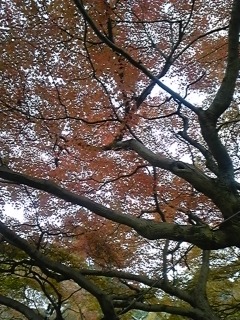 c0131727_10505683.jpg