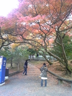 c0131727_11564127.jpg