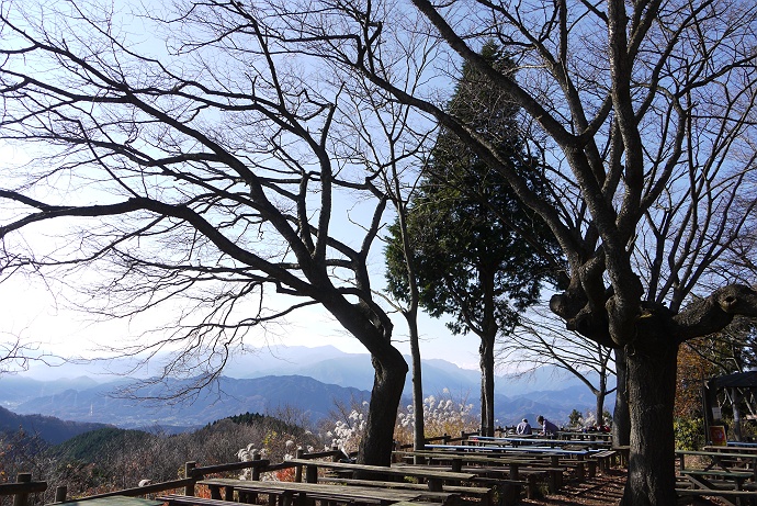 最後の紅葉求めて（奥高尾 景信山）_c0196928_18593863.jpg