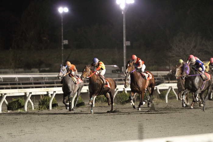 2010年12月4日（土） 高知競馬 10R 四万十の栗特別 C1-1 選抜馬 その2_a0077663_2381674.jpg