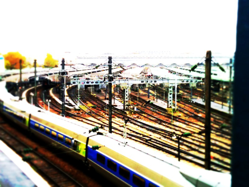 b0075366_16383819.jpg