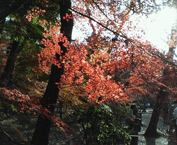 【埼玉県のお散歩】平林寺/第２弾_e0035469_053215.jpg