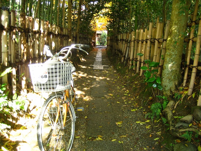 京都・嵯峨野　散紅葉_e0106372_9591424.jpg