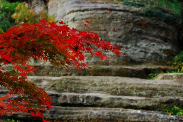 Kamakura　65_f0046675_0403875.jpg