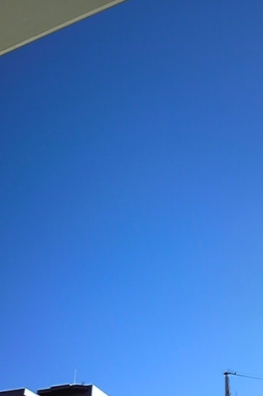 a0130778_2263922.jpg