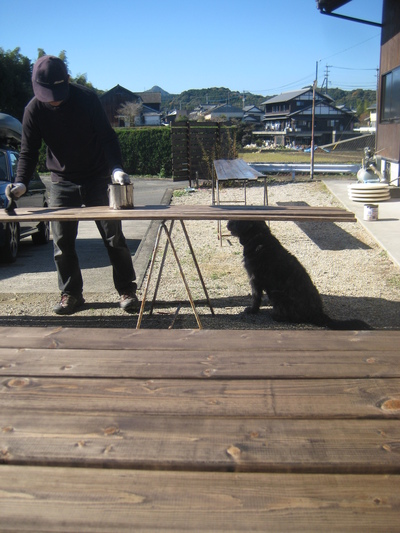目隠しフェンス完成。_d0195183_22173937.jpg