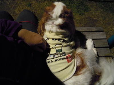 d0044986_010229.jpg