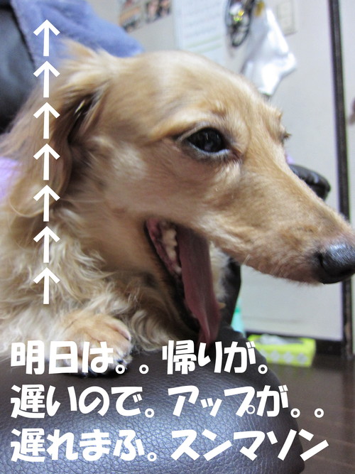 五井大市　初日_b0200291_2135290.jpg