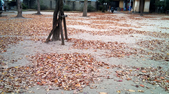 e0133891_2059646.jpg