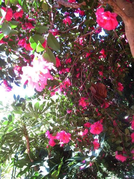 c0119197_1204372.jpg