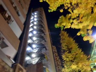d0051601_244345.jpg