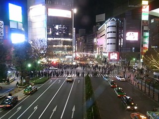 d0051601_2455357.jpg