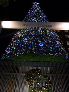 d0051601_952342.jpg