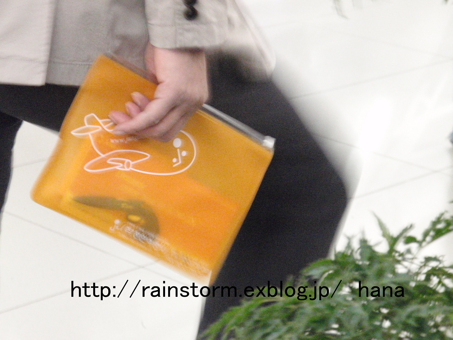LOTTEファミリーコンサートの出まち　RAINです_c0047605_1101279.jpg