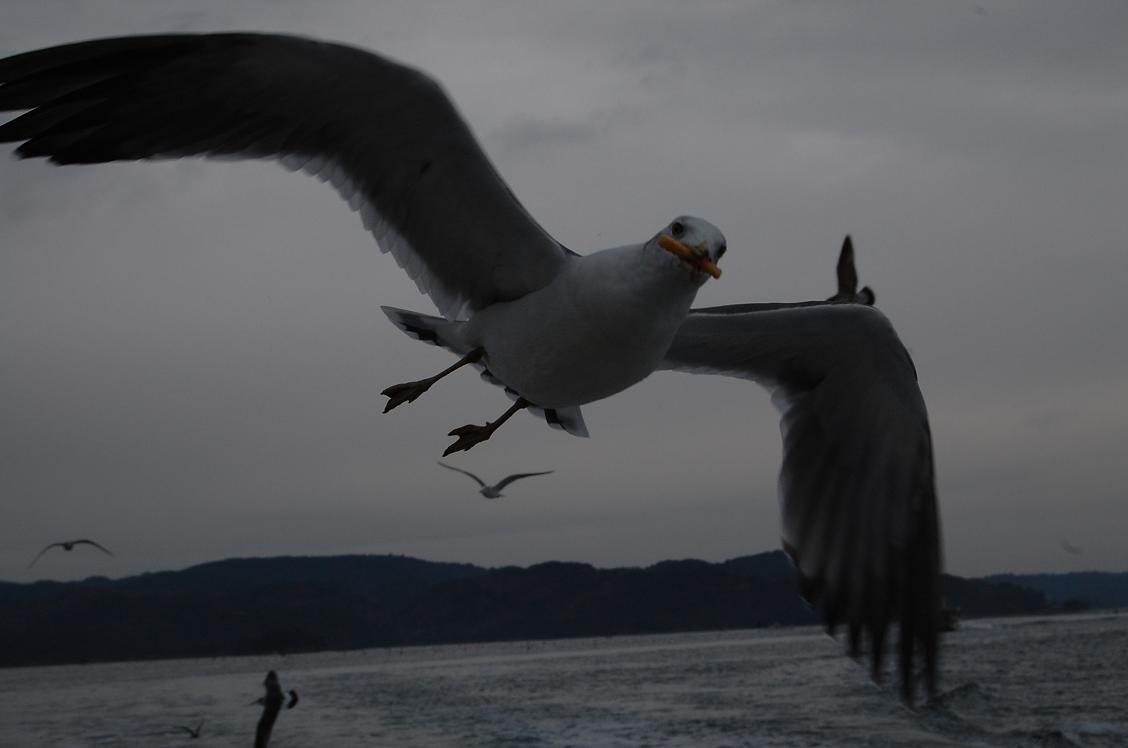 ぶらり　松島　partⅡ_f0129607_6221811.jpg