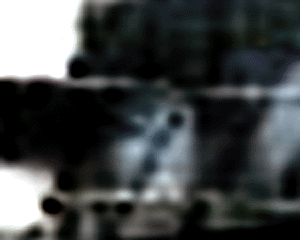 e0103408_1421434.gif