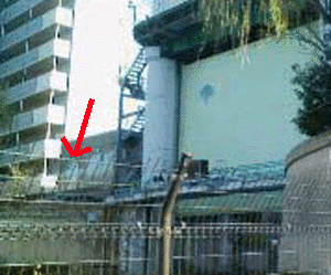 e0103408_14305318.gif