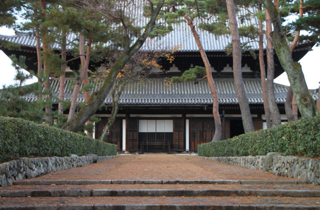 相国寺 散りモミジ_e0048413_19413767.jpg