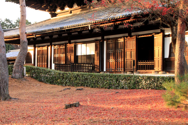 相国寺 散りモミジ_e0048413_19415056.jpg