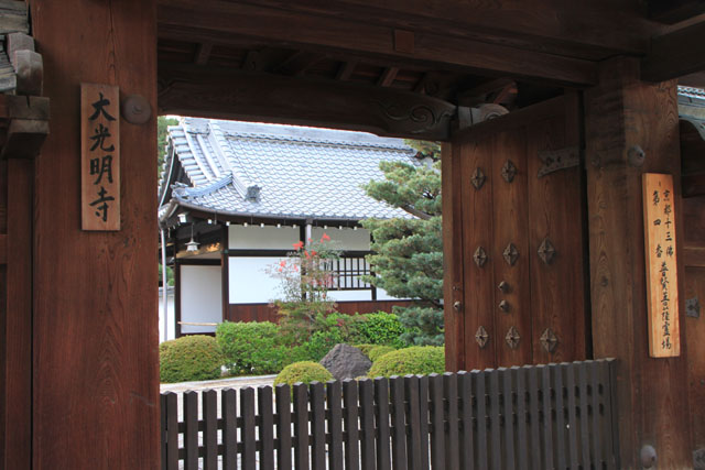 相国寺 散りモミジ_e0048413_19421332.jpg