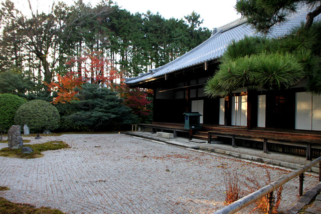 相国寺 散りモミジ_e0048413_1942241.jpg
