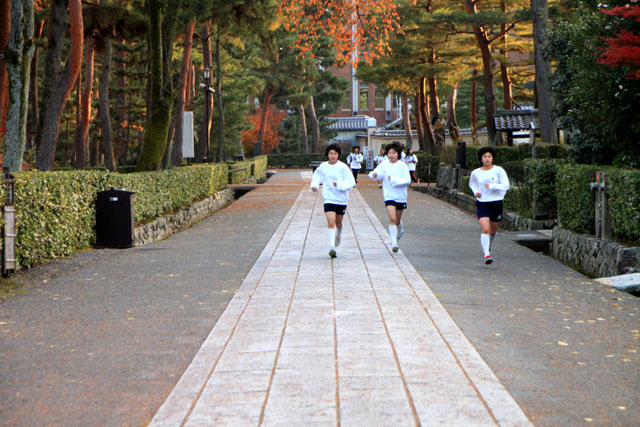 相国寺 散りモミジ_e0048413_19425449.jpg