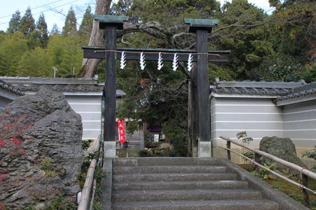 三寶寺 だいこ炊き_e0048413_22403127.jpg
