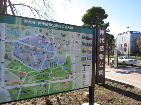 「神代植物公園」　調布_f0128714_118547.jpg