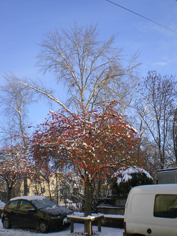 c0124619_4472723.jpg